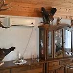 Ostanak kod kuće Stevin Ranc *