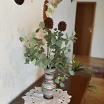 Stevin Ranc Bosanska Dubica
