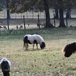 Stevin Ranc منزل للإقامة Bosanska Dubica