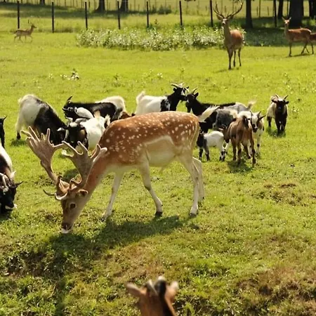 Habitación en casa particular Stevin Ranc *