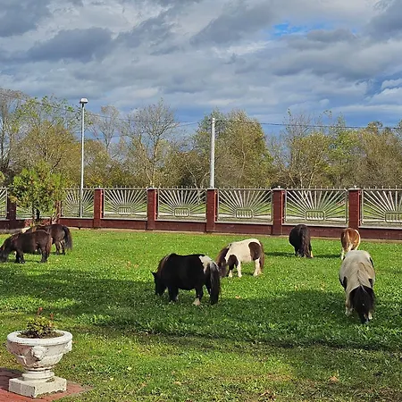 Stevin Ranc Habitación en casa particular Bosanska Dubica
