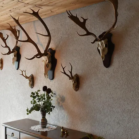 Stevin Ranc Homestay Bosanska Dubica
