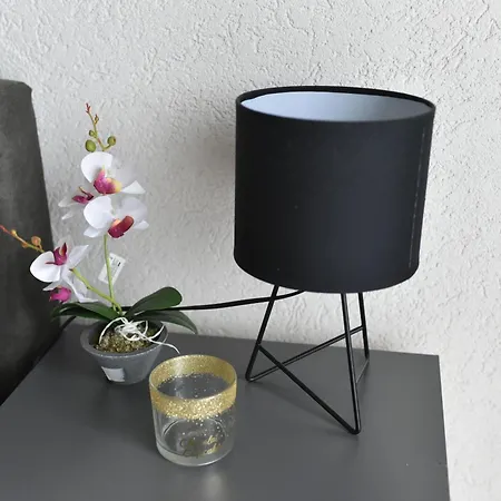 Stevin Ranc Ostanak kod kuće *