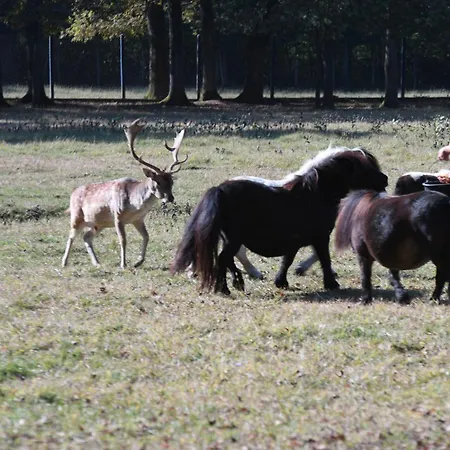 Stevin Ranc * Bosanska Dubica