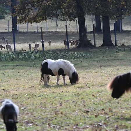 Stevin Ranc Habitación en casa particular Bosanska Dubica