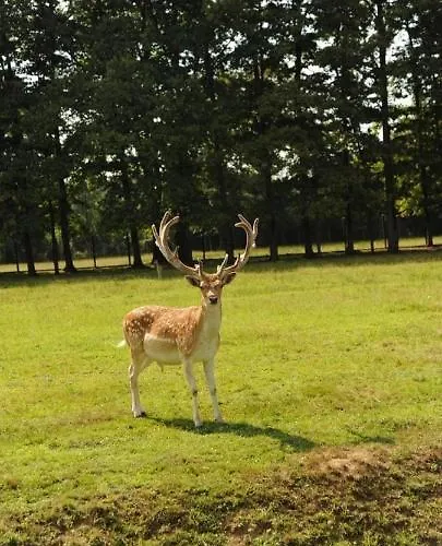 民宿 Stevin Ranc *