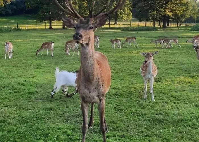 Stevin Ranc 民宿 Bosanska Dubica