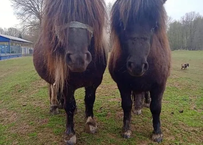 Stevin Ranc Quarto em Acomodações Particulares *