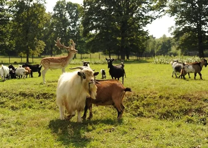 Stevin Ranc Quarto em Acomodações Particulares