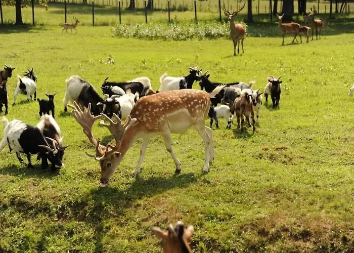 民宿 Stevin Ranc *