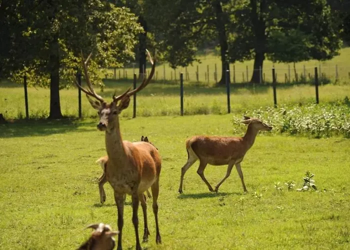 Stevin Ranc 民宿 Bosanska Dubica