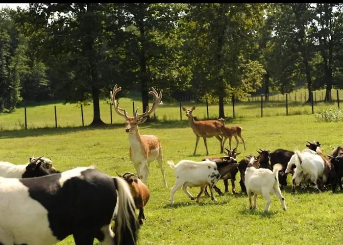 Stevin Ranc Bosanska Dubica