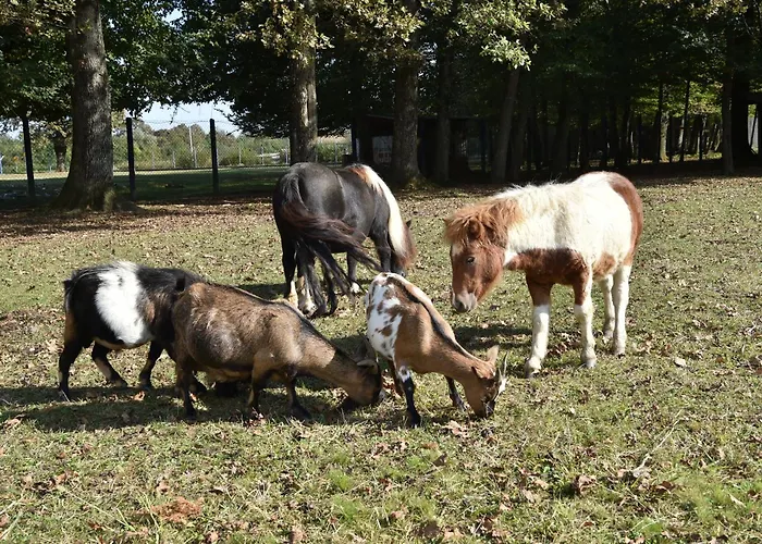 Stevin Ranc * Bosanska Dubica