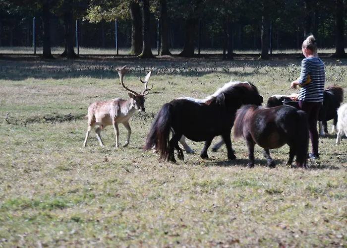 Stevin Ranc * Bosanska Dubica