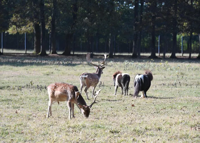 Stevin Ranc 民宿 *