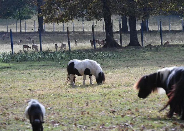 Stevin Ranc 民宿 Bosanska Dubica