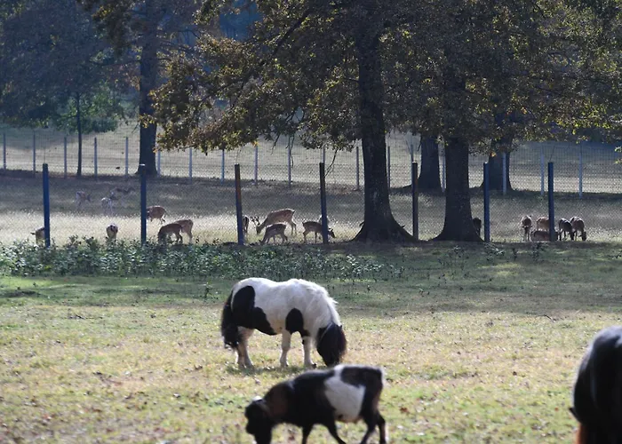 Stevin Ranc 民宿 Bosanska Dubica
